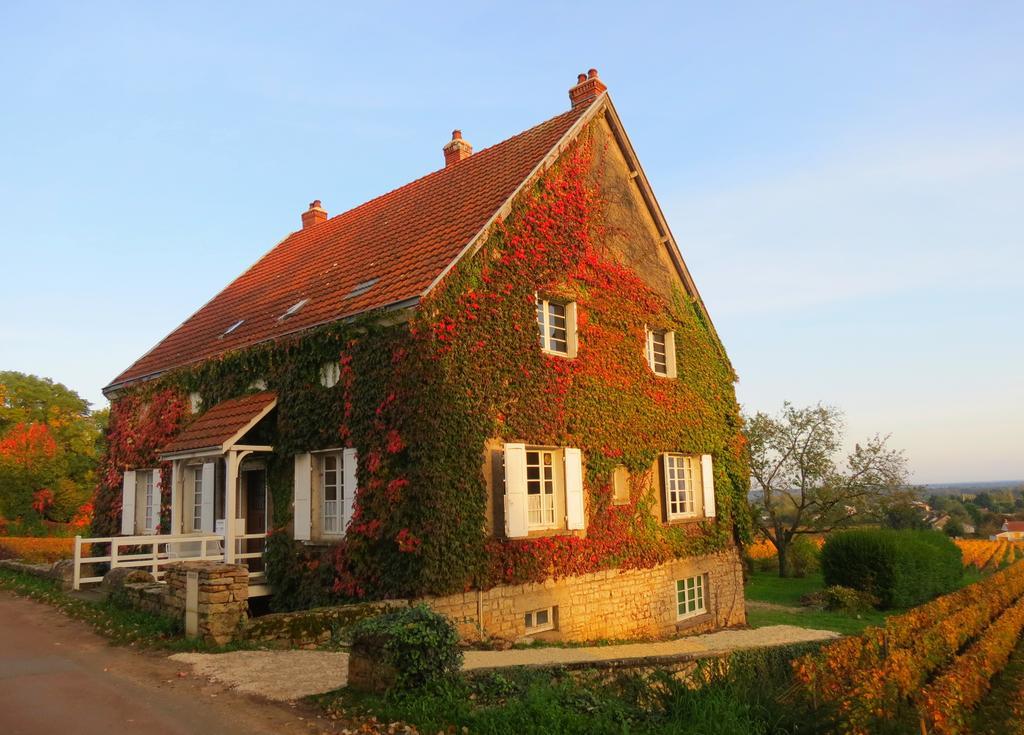 La Passerelle Des Corton B&B Aloxe-Corton Kültér fotó