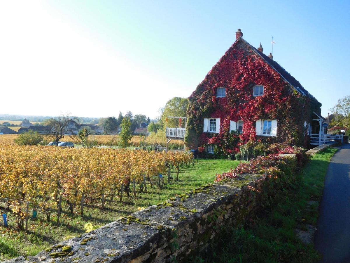 La Passerelle Des Corton B&B Aloxe-Corton Kültér fotó