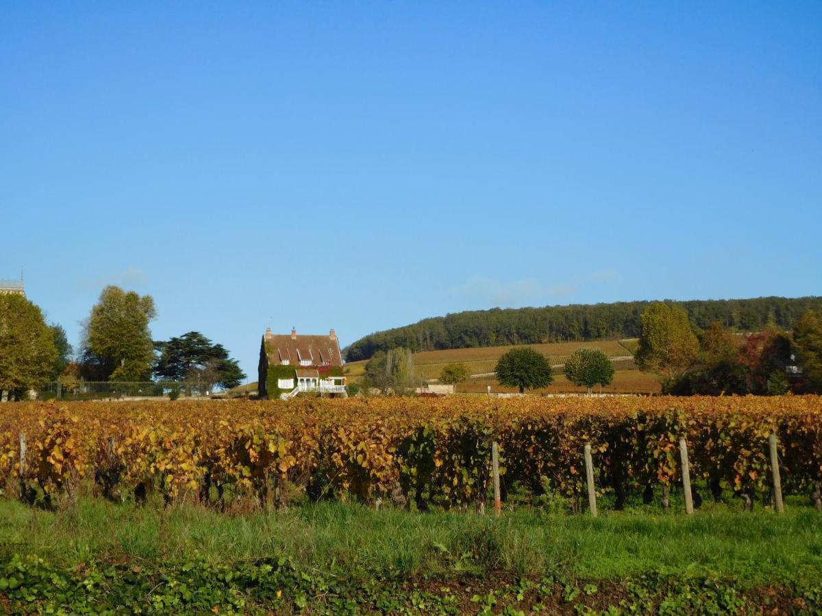 La Passerelle Des Corton B&B Aloxe-Corton Kültér fotó